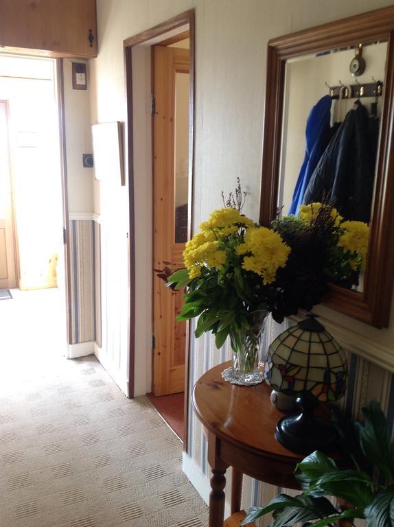 Shamrock House B&B Killarney Buitenkant foto